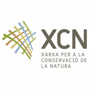 XCN