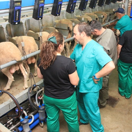 Las primeras Jornadas sobre espacios test agrarios debatirán sobre nuevos modelos de incorporación al campo