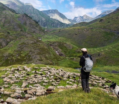 Las primeras Jornadas sobre espacios test agrarios debatirán sobre nuevos modelos de incorporación al campo