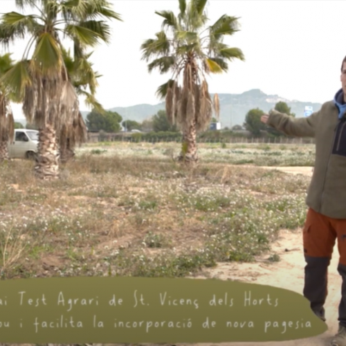 El tester del espacio test agrario de Sant Vicenç dels Horts presenta su proyecto en RTVE