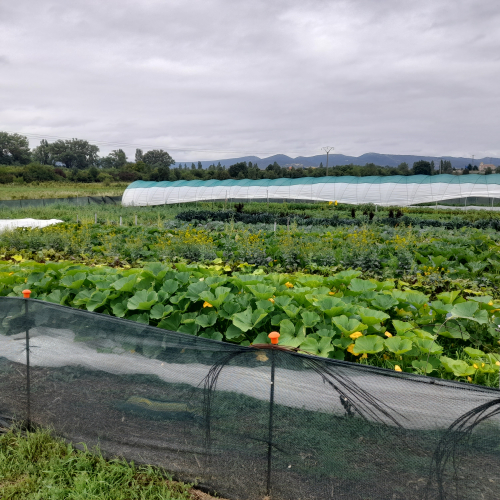 Abierto el plazo de inscripción al curso ‘6 modelos de producción regenerativa en clave de economía social y solidaria’ en el marco del proyecto CROPS4LIFE