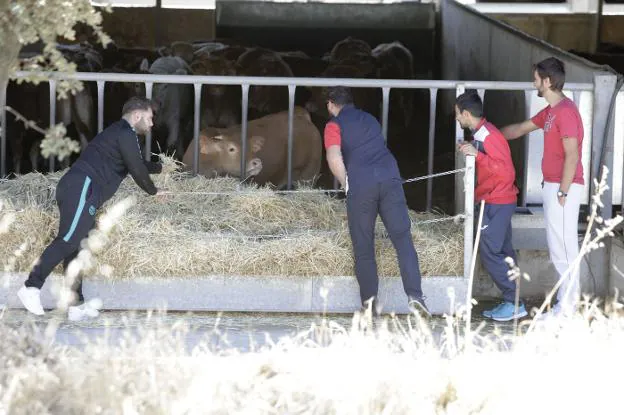 Extremadura y Cataluña se unen para atraer a los jóvenes al campo