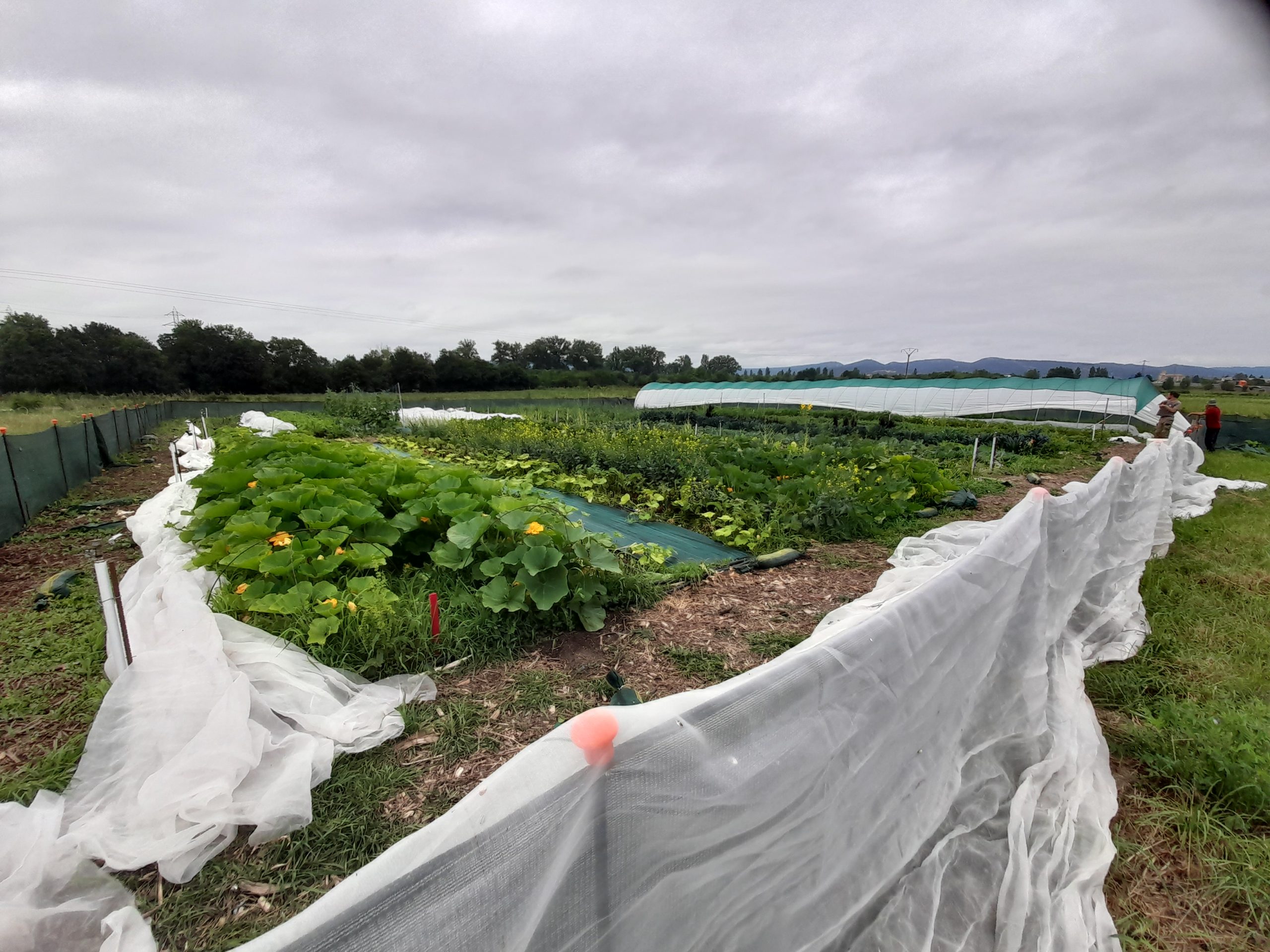 Abierto el plazo de inscripción al curso ‘6 modelos de producción regenerativa en clave de economía social y solidaria’ en el marco del proyecto CROPS4LIFE